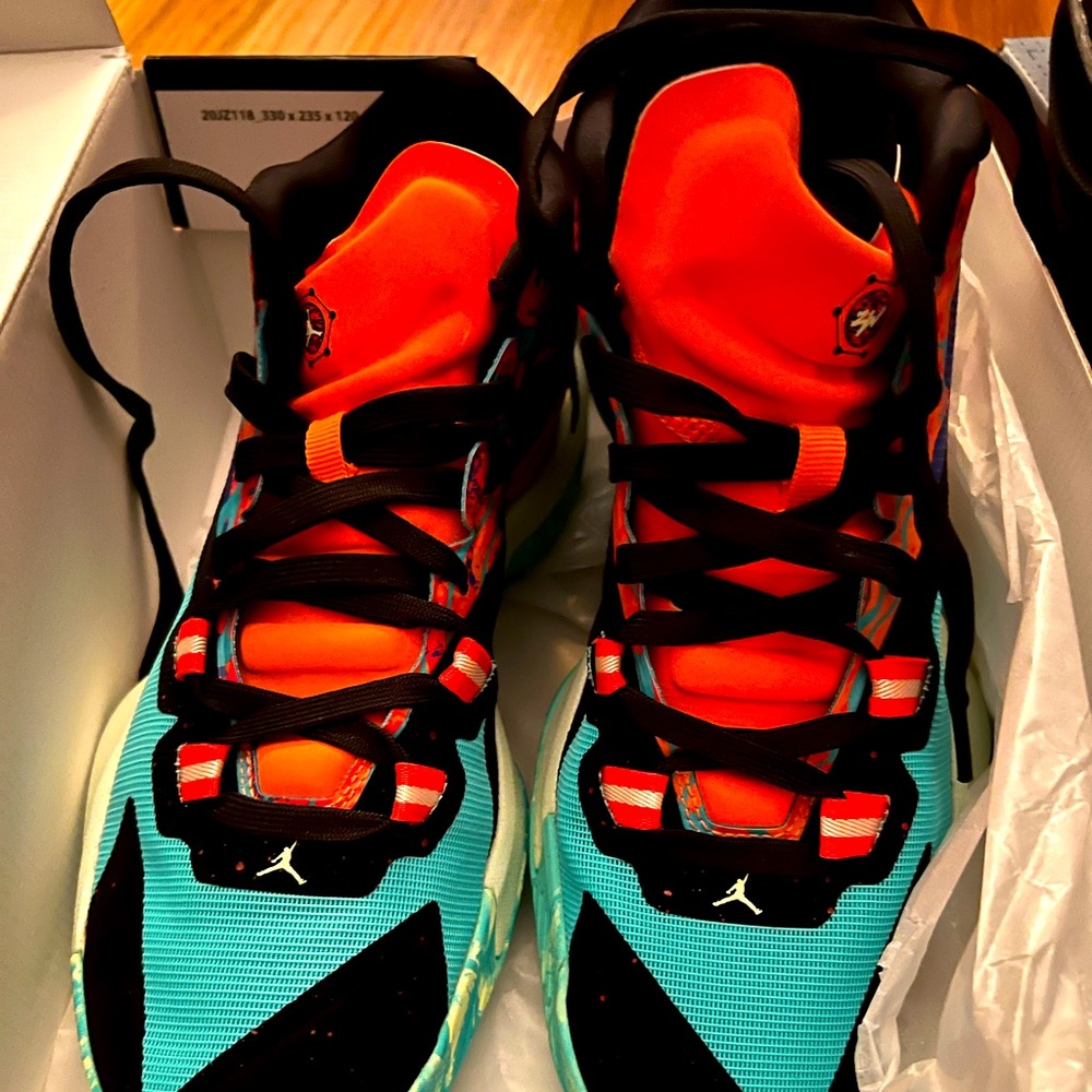 Jordan Zion 1
